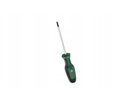 Bosch Atsukt. TORX TX20x100mm