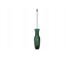 Bosch Atsukt. TORX TX20x100mm