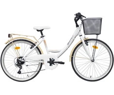 Dviratis miesto Bottari Parma Parma 77040, 24 „