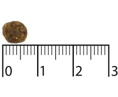 BOZITA Purely Adult Small lašiša ir jautiena - sausas šunų ėdalas - 2,5kg