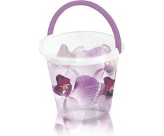 Branq Kibiras 10L, Orchidėjos