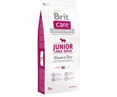BRIT CARE Dog Junior Large Breed su lašiša ir bulvėmis 3kg