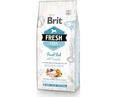 Brit Fresh Dog žuvis su moliūgu Suaugęs Didelis 2,5kg