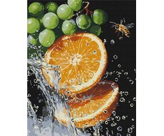 BRUSHME dažai pagal skaičius, 40x50 cm, sultingas derinys, 1 vnt., dėžutėje