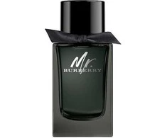 Burberry Mr. Burberry EDP parfumuotas vanduo vyrams, 100 ml