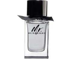 Burberry Mr. Burberry EDT tualetinis vanduo vyrams, 100 ml