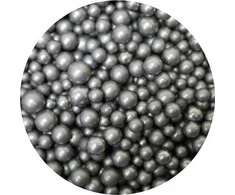 Cambo Plieniniai rutuliai atsvarai 1kg