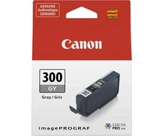 Canon PFI-300 GY pilka