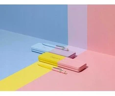 Caran d`Arche CARAN D'ACHE 849 Paul Smith Tušinukas Edition 4, M, dėžutėje, Chartreuse/Rose