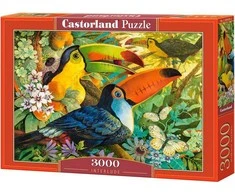 Castorland Dėlionė 3000 vnt. - Interliudas