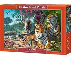 Castorland Dėlionė 3000 vnt. - Tigrai