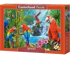 Castorland Dėlionė 2000 vnt. - Papūgos