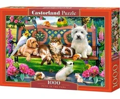 Castorland Dėlionė 1000 vnt. - Augintiniai parke