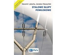Cavatorta Plieninės korpuso kolonos