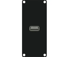 Caymon Modulis su USB 2.0 A tipo jungtimi (CASY161 / B)