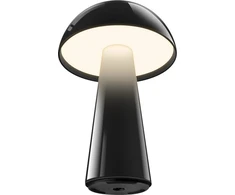 Century Šimtmečio LED lempa COCO juoda 1,5W 2700K 100 Lumen Dimm. IP44