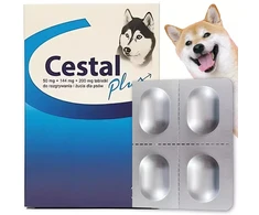 Ceva Kažkas CESTAL PLUS šunims lizdinės plokštelės 8 tabletės gydymui