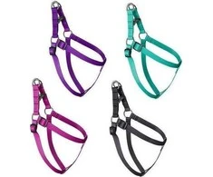 Chaba CH TRASMA REG6. OBWL90 VIOLETS CCM 4776