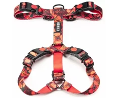 Chaba Comfort Story M Opium 2,0/43-63cm