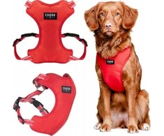 Chaba CHABA Guard Comfort Classic S diržai, raudoni