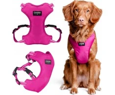 Chaba CHABA GUARD COMFORT DIRŽAI XS 1,6 cm / 32-37 cm FUCHSIA