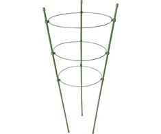 Bradas ŽIEDAS ATRAMAS AUGALMS 60cm