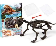 Clementoni Smilodon pastatykite tigro skeletą