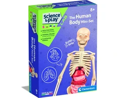 Edukacinis žaislas Clementoni The Human Body Mini-Set 50824