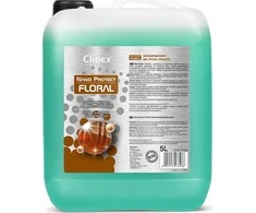 CLINEX Nano Protect Floral 5L 70-334