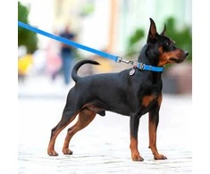 Collar WAU ŠUNS VANDENIUI ATSPARUS PAVADIS 2.0/305cm PVC MĖLYNAS
