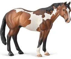 Collecta Apaloosa eržilas