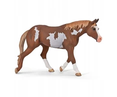 Collecta COLLECTA AMERIKINIŲ DAŽŲ ERŽELAS KAŠTANAS