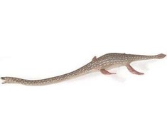 Collecta Figūrėlė - Elasmosaurus