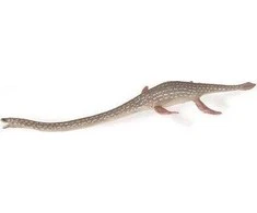 Collecta Figūrėlė - Elasmosaurus
