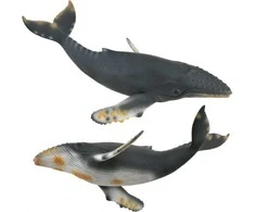 COLLECTA Kuprotasis banginis, (XL), 88347