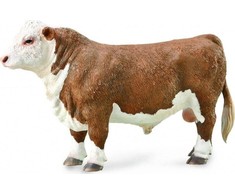 Collecta BURKINYS (POLPLID) kolekcija