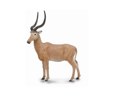 Collecta Figūrėlė - Hanterio antilopė