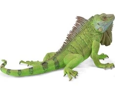 Collecta Figūrėlė Iguana (XL)
