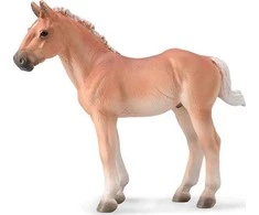 Collecta Surinkta Norikerio kaštonų jūra
