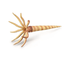 Collecta Figūrėlė - Orthoceras