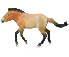 Collecta Figūrėlė - Prževalskio arklys