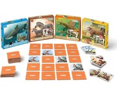 Dėlionė COLLECTA Atminties žaidimas - Vandenynas ir ledas 64vnt., 84237