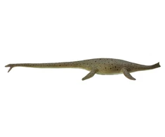 Collecta Figūrėlė - Dinozauras "Thalassomedon"