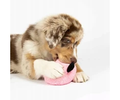 COOCKOO Bouncy Buddy rožinė 17cm (309/488478)