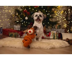 Cooper Pals Beeztees spiralinis žaislas šunims elnio formos, 32 cm