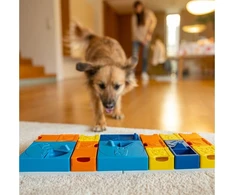 Cooper &amp; Pals Pawzler Rainbow - komplektas modułowych zabawek šuniui wspierających rozwój - poziomy 1-3