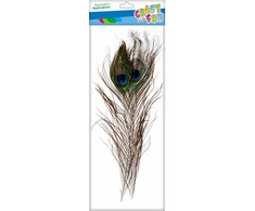 Craft with Fun Dekoratyvinis ornamentas Plunksnos 32cm 1pc Paw Pbh 20/1200