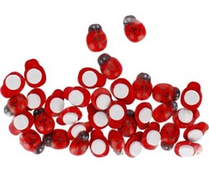 Craft With Fun Dekoratyvinės medinės boružėlės lipnios 13 mm, 35 vnt.