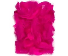 Dallprint Plunksnos 5-12cm 10g, t.rausvos