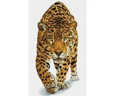 Dante Diamond siuvinėjimas Diamond Dotz Leopard medžioklėje 40x60cm DQ9007